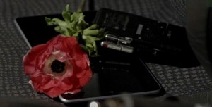 il bosco anemone nella macchina