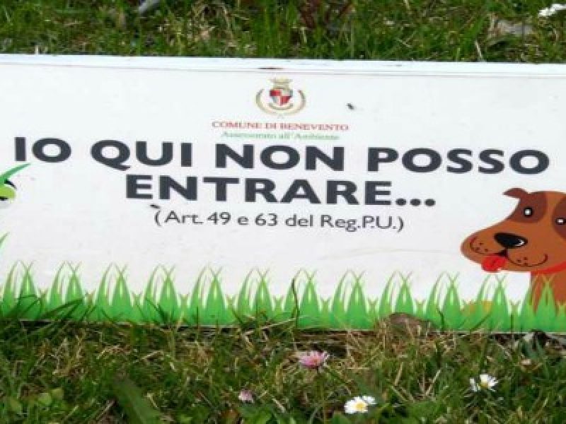 Perché I Cani E Gli Ebrei Non Possono Entrare Babbo Basta ai cartelli "vietato l'ingresso ai cani" | Da oggi gli animali