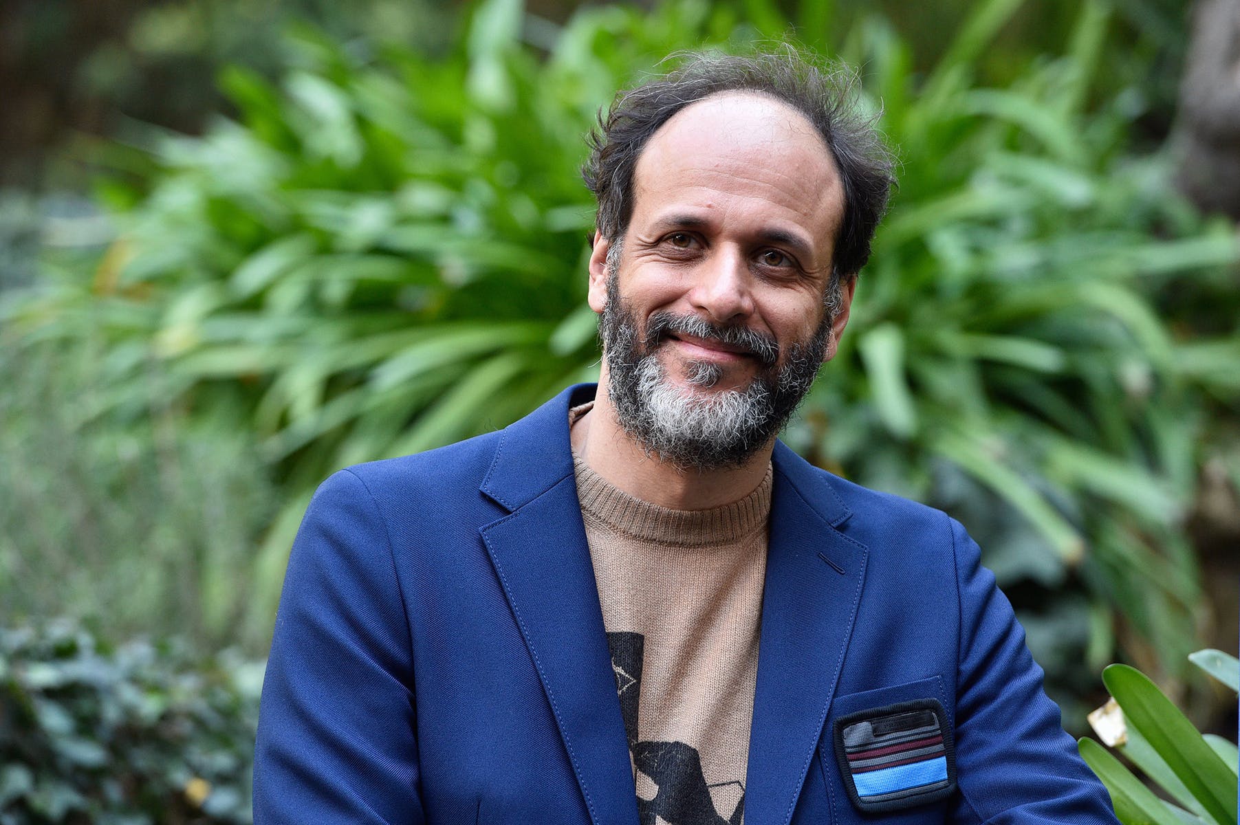 Risultati immagini per Luca Guadagnino